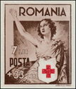Red Cross