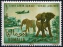 African Elephant (Loxodonta africana), Airplane