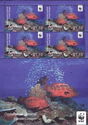 Tomato Groupers (Cephalopholis sonnerati)