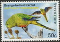 Orange-bellied Parrot (Neophema chrysogaster)