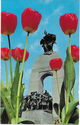 Ottawa. Tulips and Canada War Mémorial