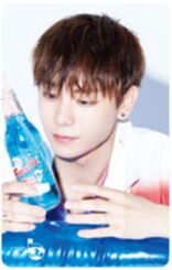 Just cashbee photocard