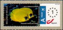 Blue-cheeked Butterflyfish (Chaetodon semilarvatus) - Arial
