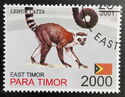 Lemur Catta