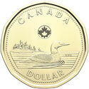 1 Dollar (Charles III - Common Loon, Loonie)