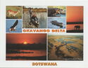 Okavango Delta