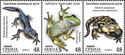 Endangered Species of Serbia: Amphibians
