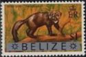 Bush Dog (Tayra barbara) - Overprinted