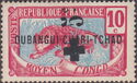 Leopard (Panthera pardus), Red Cross overprint and surcharge