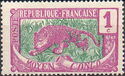 Leopard (Panthera pardus) overprint