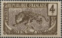 Leopard (Panthera pardus) overprint
