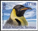 Emperor Penguin (Aptenodytes forsteri)