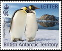 Emperor Penguin (Aptenodytes forsteri)