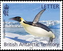 Emperor Penguin (Aptenodytes forsteri)