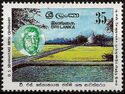 Senanayake, Temple & Fields