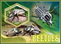 Beetles