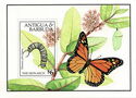 Monarch Butterfly (Danaus plexippus) & Caterpillar
