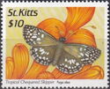 Tropical Checkered Skipper (Pyrgus oileus); reprint