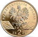 2 Złote (Polish konik horse)
