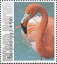 Flamingo Surcharged