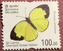 Sri Lanka One-spot Grass Yellow (Eurema ormistoni)