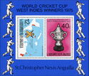Cricket World Cup