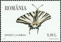 Scarce Swallowtail (Iphiclides podalirius)