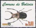 Stag Beetle (Lucanus sp.)
