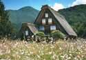 Shirakawa-gō Historic Village