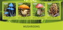 Mushrooms