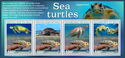 Sea Turtles
