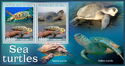 Sea Turtles