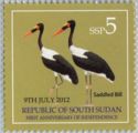 Saddle-billed Stork (Ephippiorhynchus senegalensis)