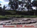 Aboriginal Fish Traps, Brewarrina, NSW