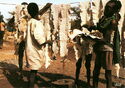 Africa in Pictures "Drying of snakes skins"
