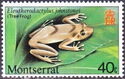 Tree Frog (Eleutherodactylus johnstonei)