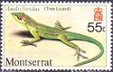 Tree Lizard (Anolis lividus)