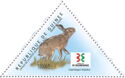 Hispid Hare (Caprolagus hispidus)