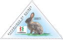 Brush Rabbit (Sylvilagus bachmani)