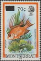 Hogfish (Lachnolaimus maximus) - Surcharged