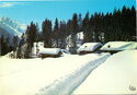 The snow covered the hamlet.