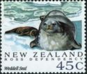 Weddell Seal (Leptonychetes weddelli)
