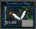 The Four Continent Butterfly (Morpho sp.) - Surcharged