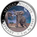 100 Shillings (African Wildlife - Elephant 1 Oz. Night - 2024)