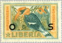 Great Hornbill (Buceros bicornis) - Overprint OS