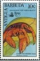 Stareyed Hermit Crab (Dardanus venosus) - Overprinted