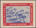 Chukar partridge (Alectoris chukar)