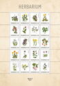 Herbarium Plants