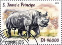 Rhinoceroses