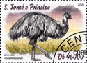 Emu (Dromaius novaehollandiae)